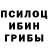 Псилоцибиновые грибы GOLDEN TEACHER Scott Korin